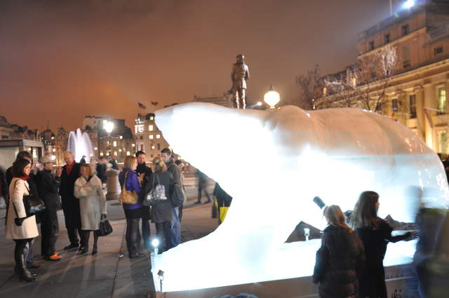 Bear on the Square