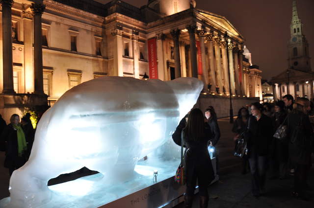 Bear on the Square