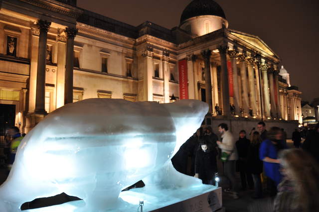 Bear on the Square