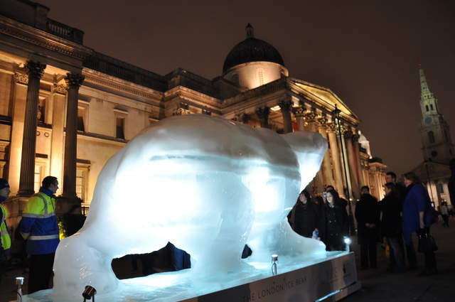 Bear on the Square