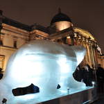 Bear on the Square