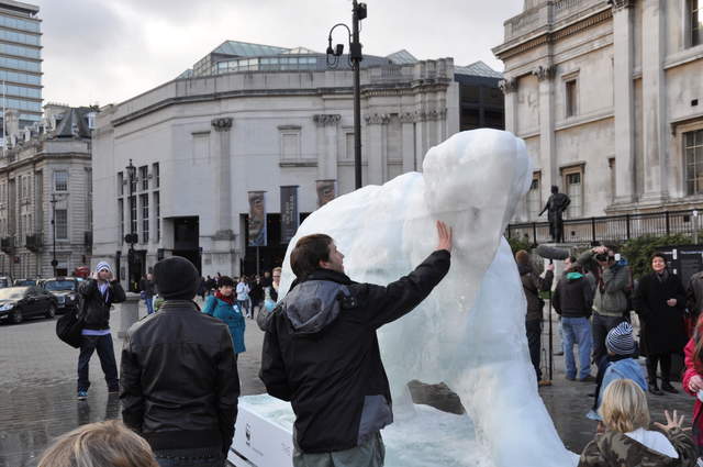 Bear on the Square