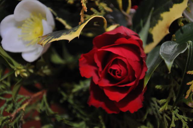 Christmas table arrangement