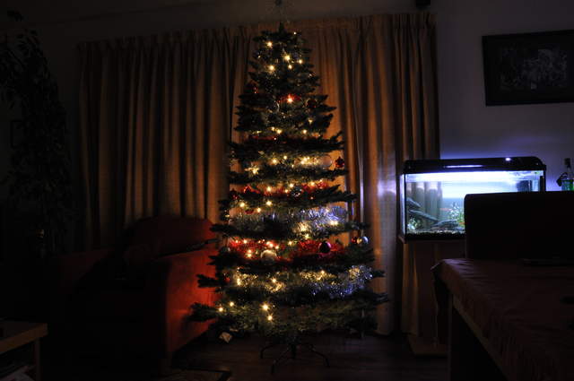 Christmas Tree