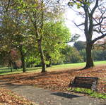 Cassiobury Park in the Autumn
