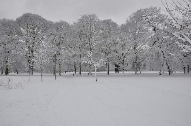 Cassiobury Park in the snow