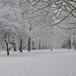 Cassiobury Park in the snow