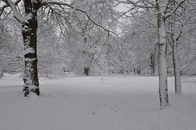 Cassiobury Park in the snow