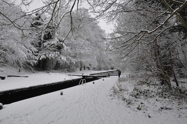 Canal Lock on the Grand Union in Cassiobury Park