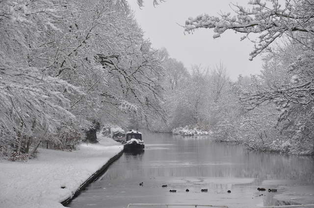 Narrowboats in Cassiobury Park