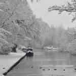 Narrowboats in Cassiobury Park