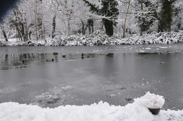 Slightl frozen canal