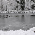 Slightl frozen canal