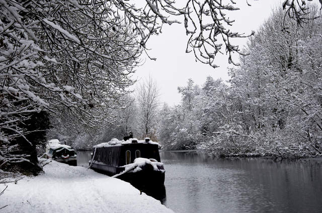 Narrowboats in Cassiobury Park