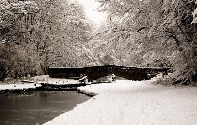 Bridge over the Grand Union in Cassiobury Park