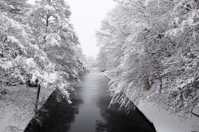 Cassiobury Park in the snow