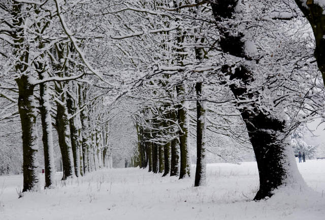 Cassiobury Park / Narnia