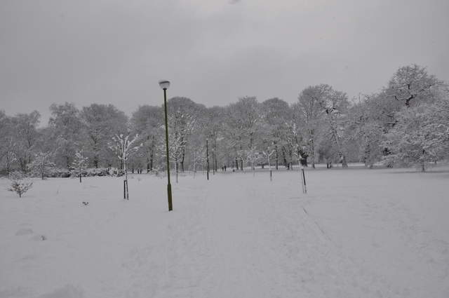Cassiobury Park in the snow