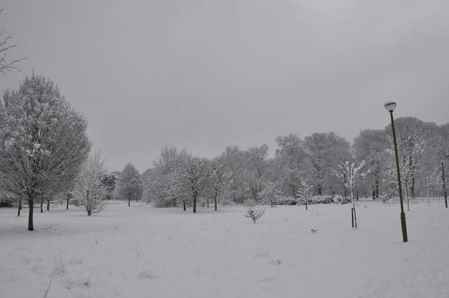 Cassiobury Park in the snow