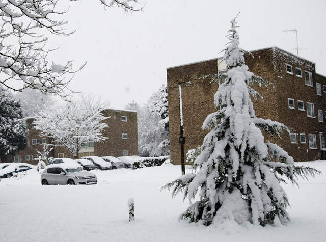 Watford snow
