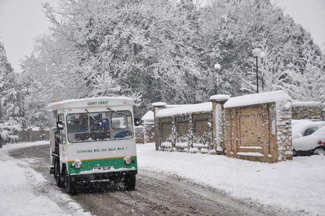 Local milk man in the snow
