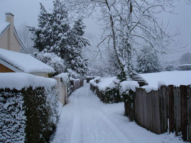 DSC03055.JPG