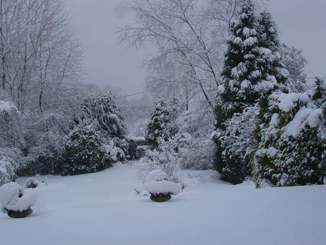 DSC03057.JPG
