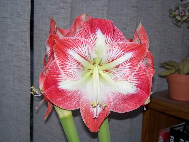 052