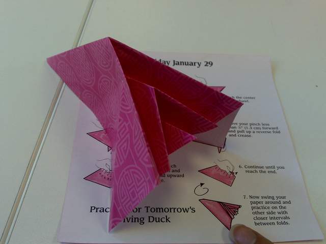 Jan 29 - Practice for Diving Duck, by Maria