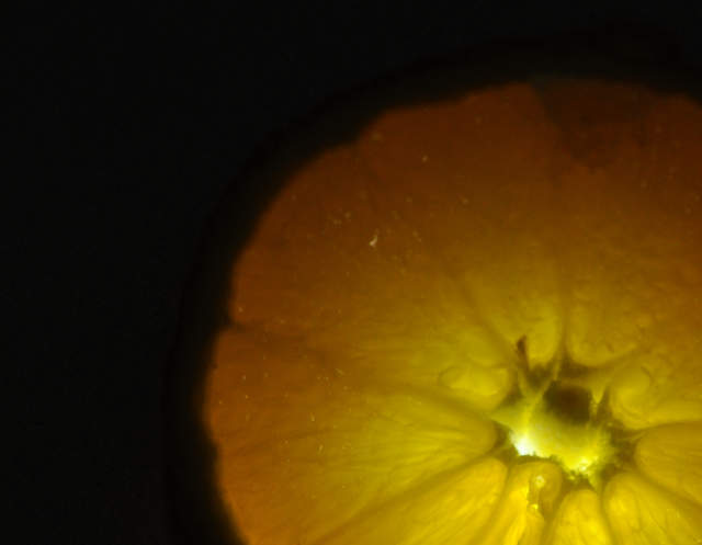 Orange segments