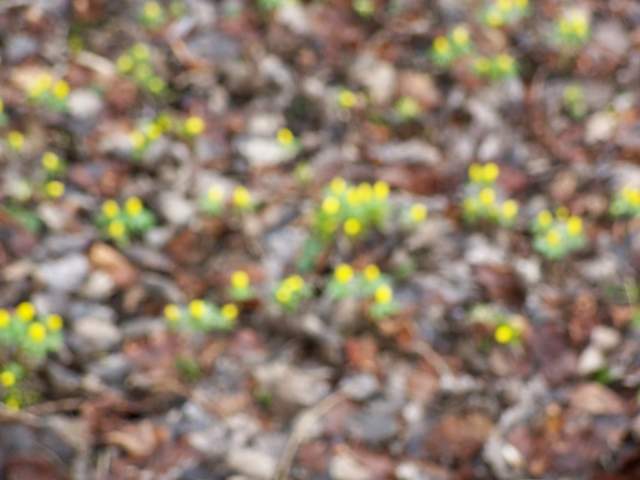 022.JPG