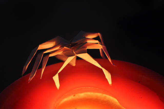 Fire Spider
