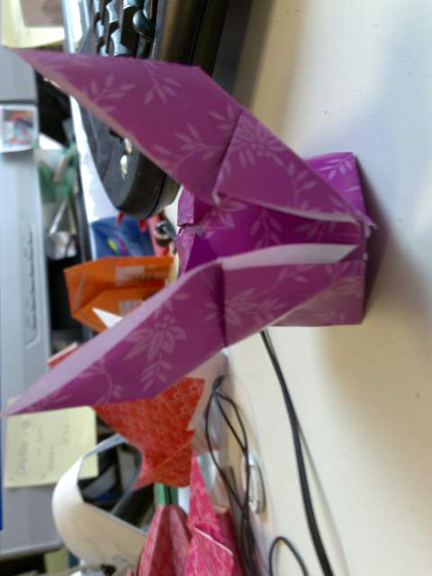 29032010166.jpg