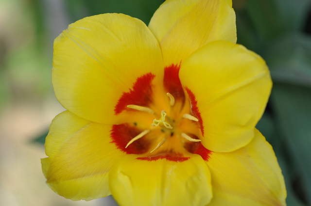 DSC_0003.JPG