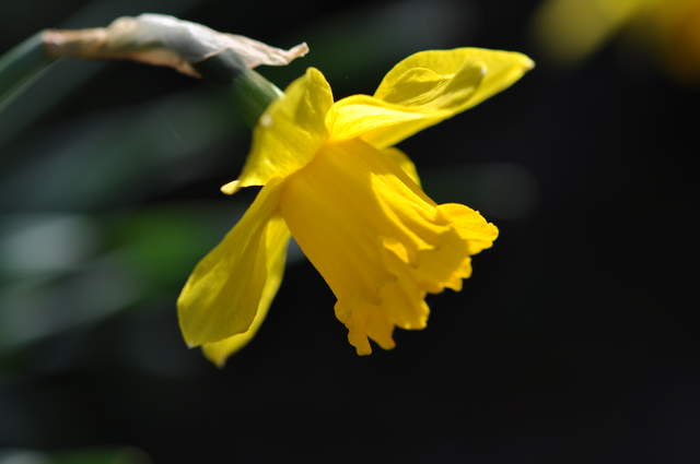 DSC_0032.JPG