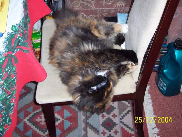 100_0422.JPG