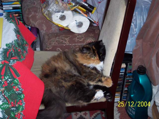 100_0426.JPG
