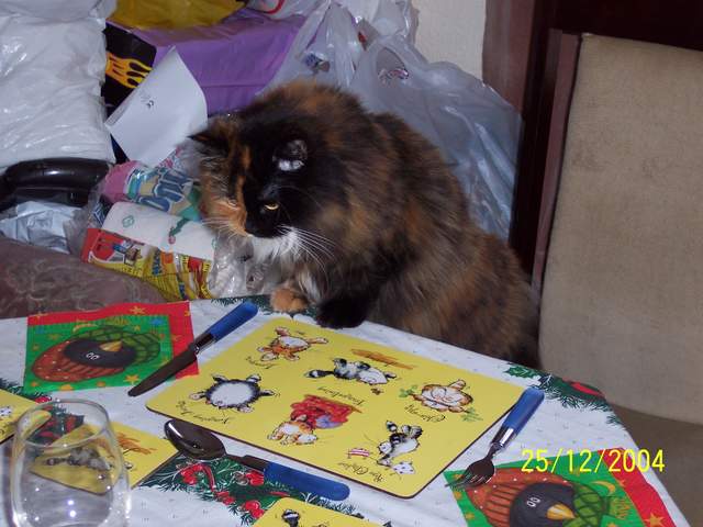 100_0430.JPG