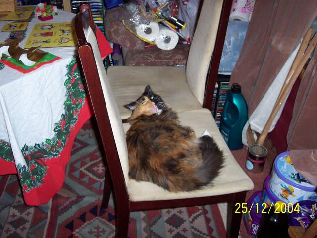 100_0431.JPG