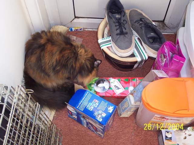 100_0447.JPG