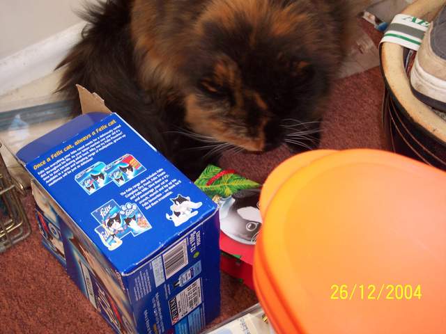 100_0448.JPG