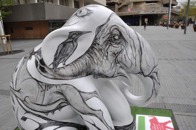 Julia's Elephant