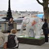 Shanti Haathi