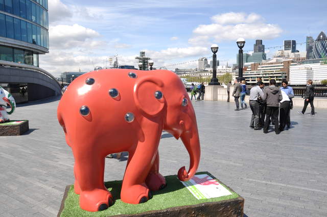 The City in the Elephant
