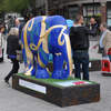 Rajasthan Royals