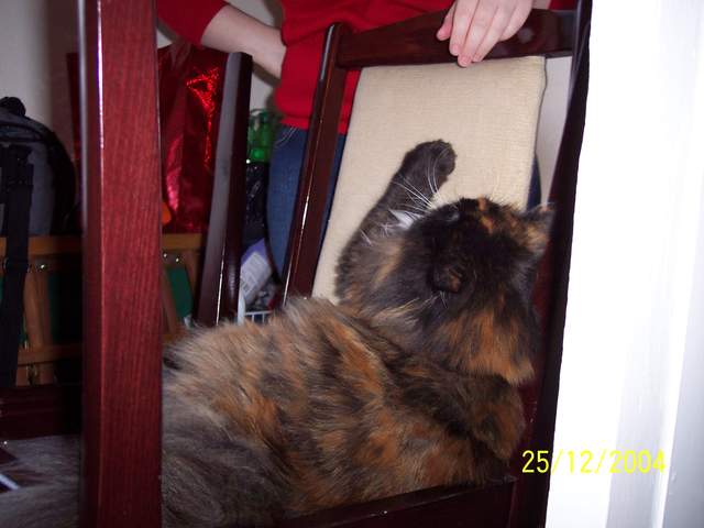 100_0420.JPG