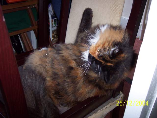 100_0421.JPG