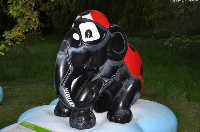 Ladybird