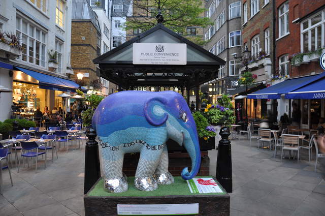 Kubella (The Seaside Elephant)