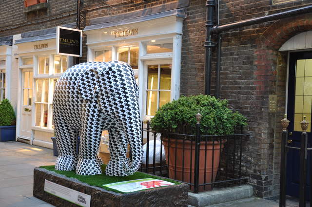Elephant Chic